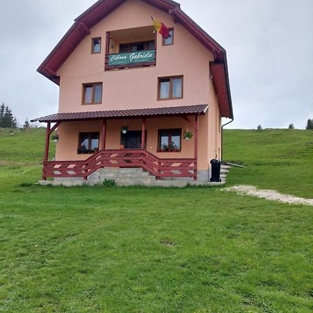 Cabana Gabriela Gîrda de Sus 외부 사진