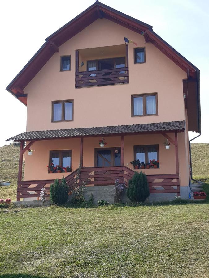 Cabana Gabriela Gîrda de Sus 외부 사진