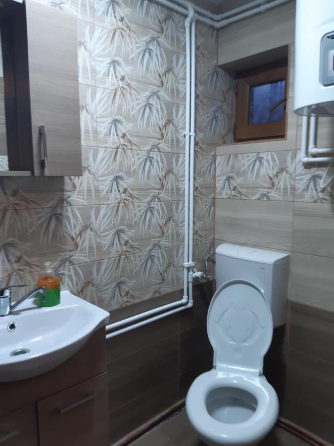 Cabana Gabriela Gîrda de Sus 외부 사진
