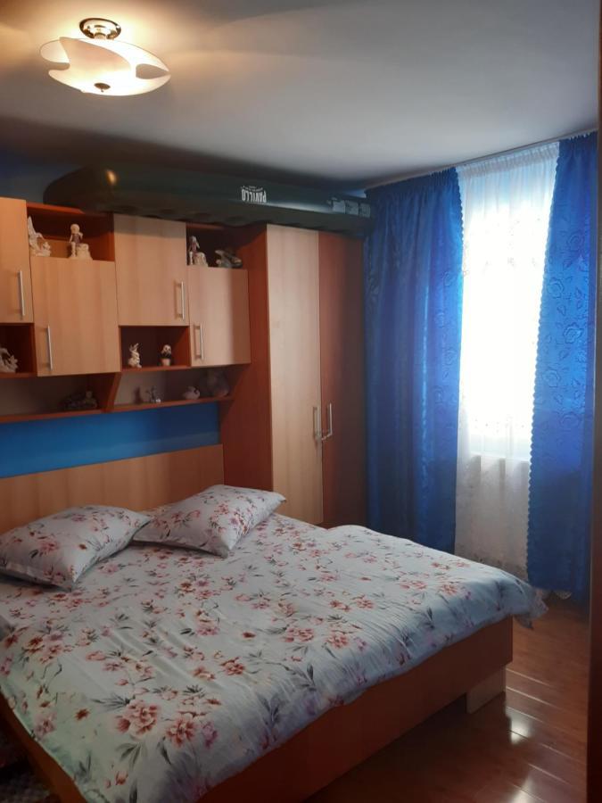 Cabana Gabriela Gîrda de Sus 외부 사진