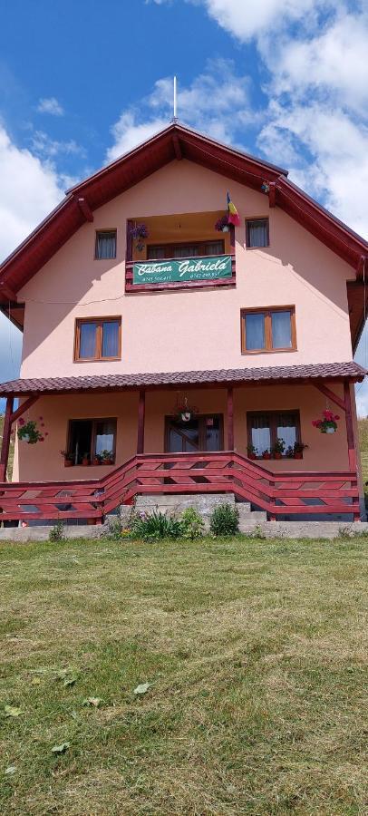 Cabana Gabriela Gîrda de Sus 외부 사진