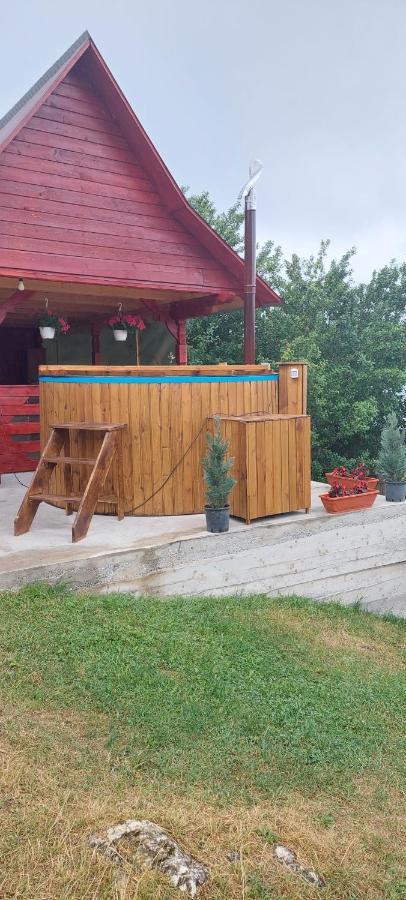 Cabana Gabriela Gîrda de Sus 외부 사진
